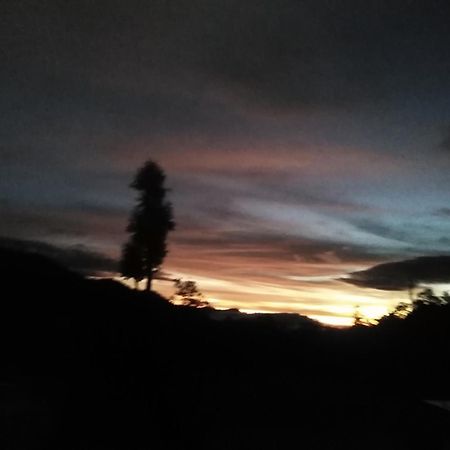 Forest Cyniciam Homestay Ohiya Quarto foto