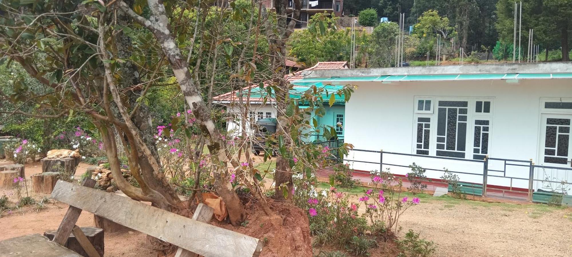 Forest Cyniciam Homestay Ohiya Exterior foto