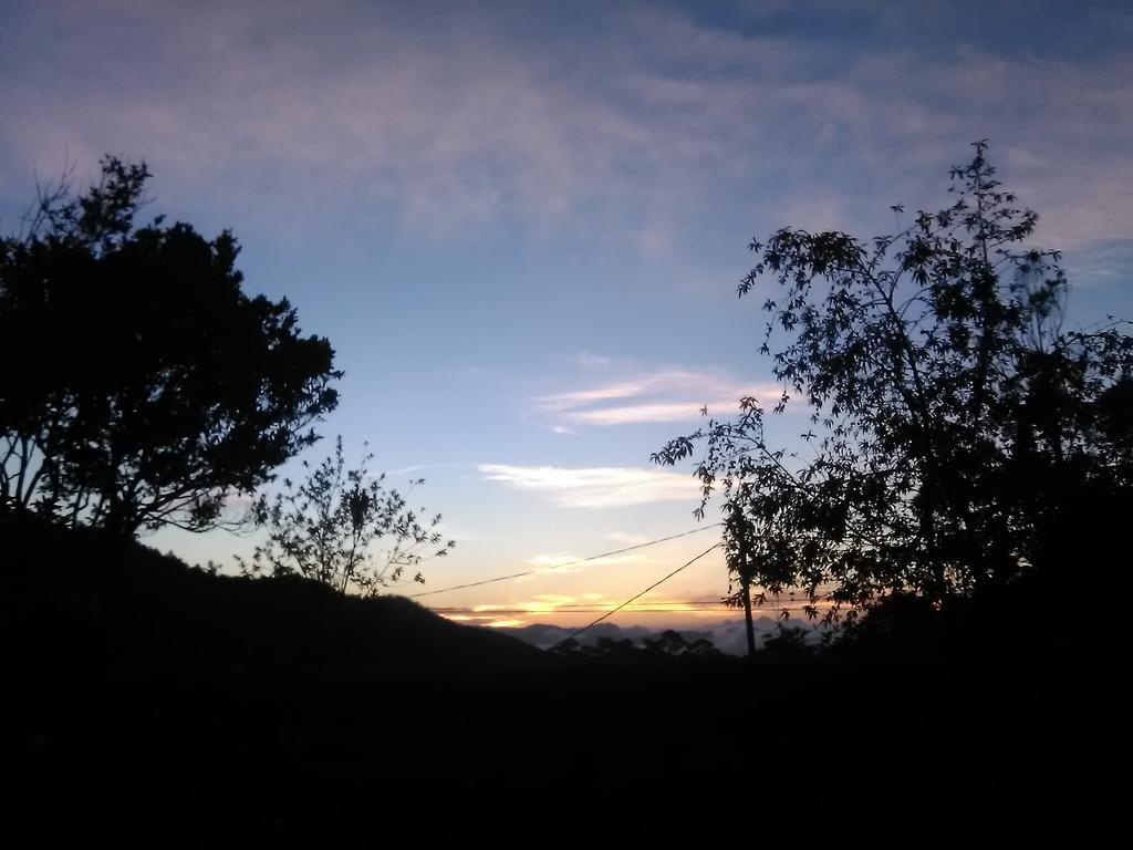 Forest Cyniciam Homestay Ohiya Exterior foto