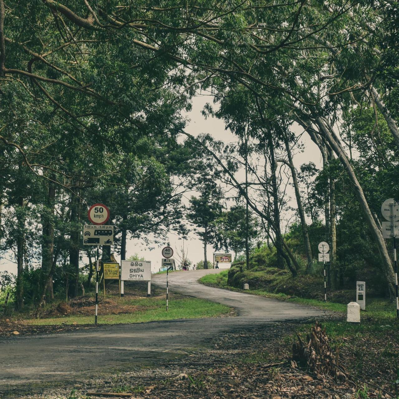 Forest Cyniciam Homestay Ohiya Exterior foto